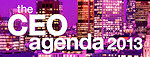 The CEO Agenda 2013